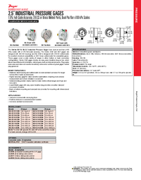 Thumbnail of document Brochure - SGY 2.5 in Industrial Pressure Gage
